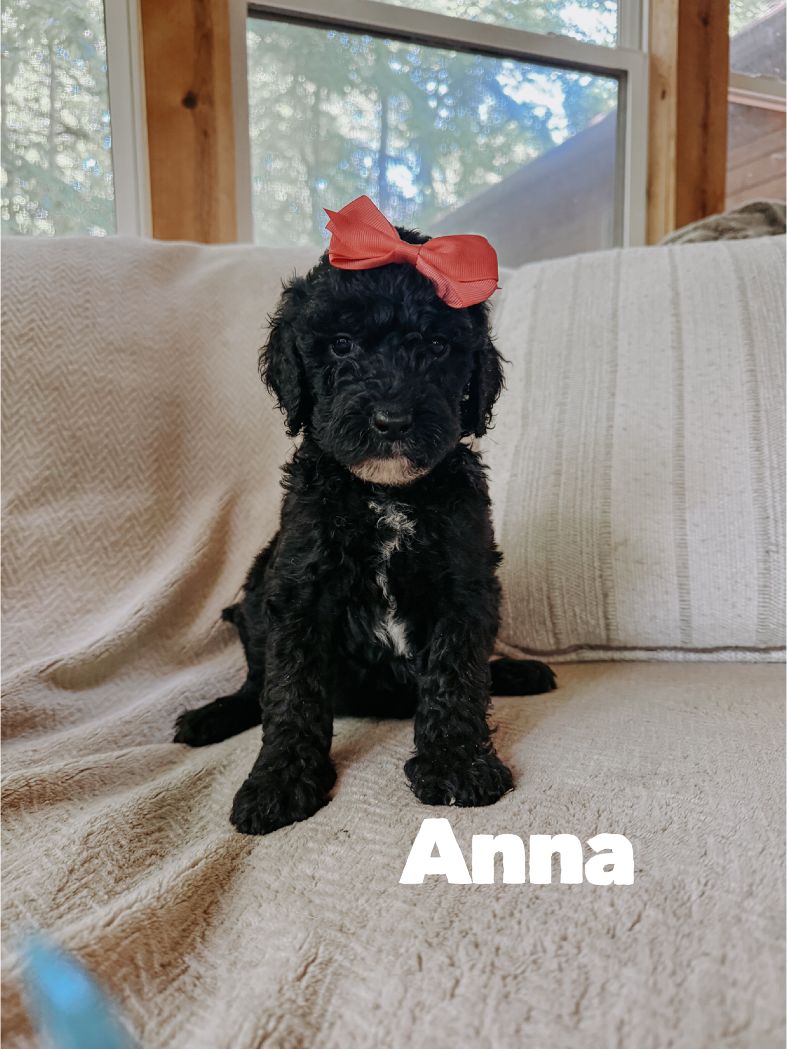 Anna 2